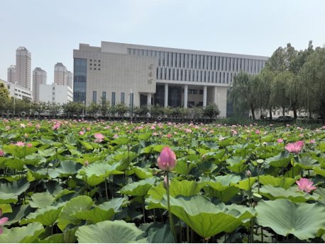 星空app登录入口