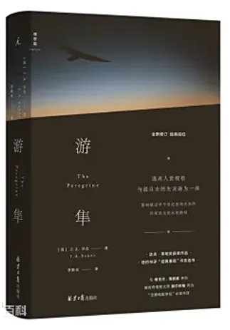 李岚清30