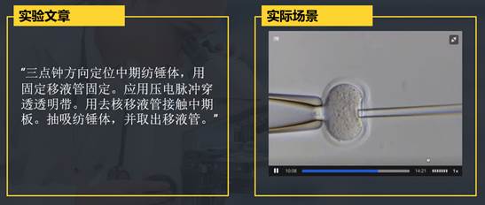 神经科学