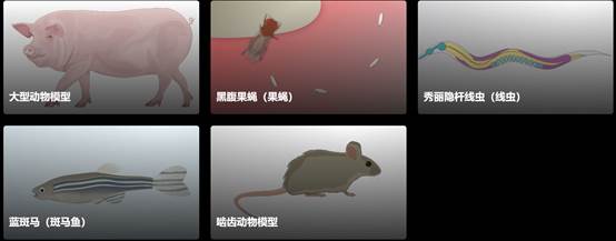 环境学等学科研究过程和成果的期刊