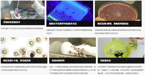 同时也是世界首个100%经同行评审